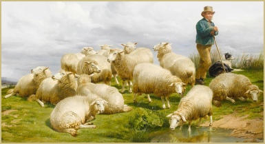 The shepherd at watch